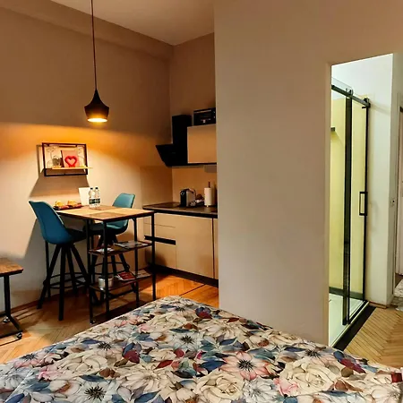 Express Traveller's Front Station Fs Privat Parking Апартаменты